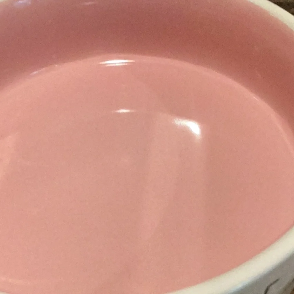 Rae Dunn PAWS OFF Pet Bowl